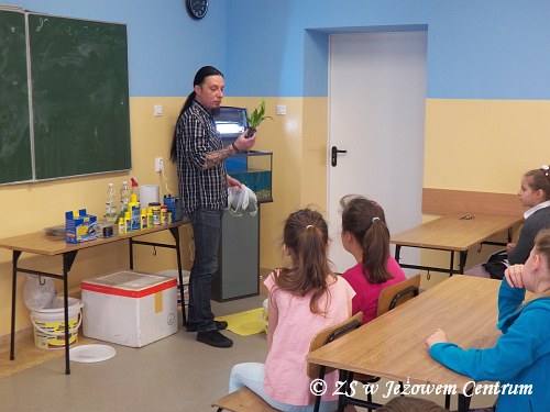 Akwarium z klasą