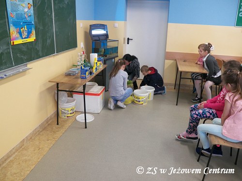 Akwarium z klasą