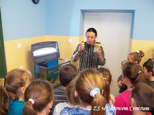 Akwarium z klasą