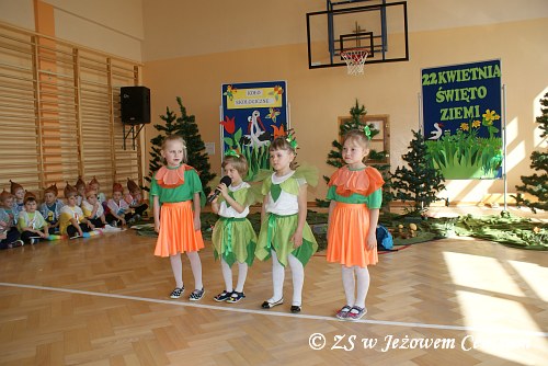 Dzień Ziemi