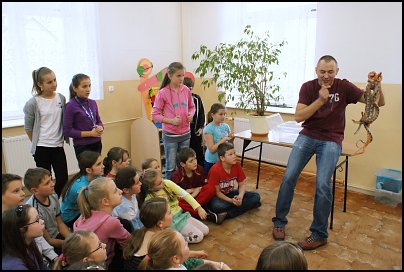 Lekcja z gadami