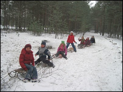 Kulig zuchów