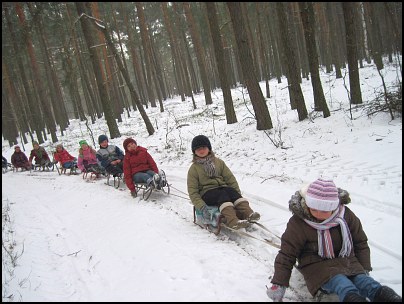 Kulig zuchów