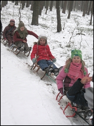 Kulig zuchów