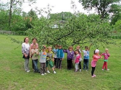 Piknik rodzinny