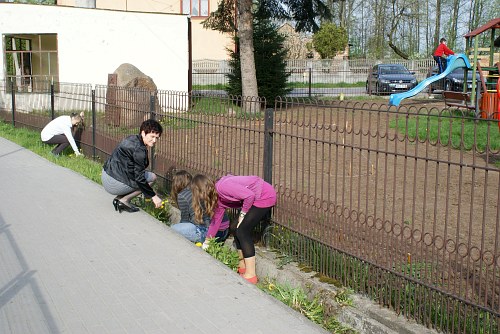 Sadzenie drzewek