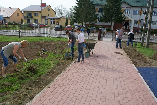 Sadzenie drzewek
