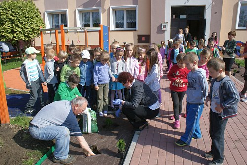 Sadzenie drzewek