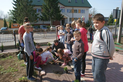 Sadzenie drzewek
