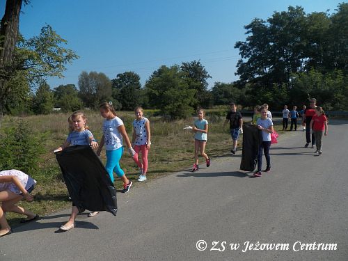 Sprzątanie świata