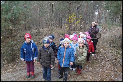 Wycieczki w przedszkolu