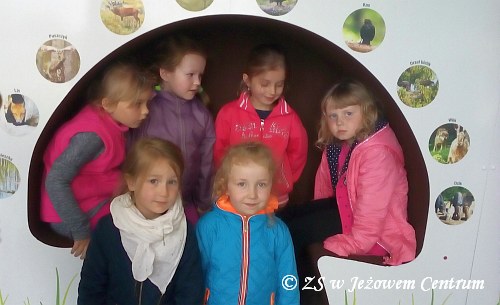 Wycieczka do Janowa Lubelskiego